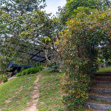 Hotel Mirador De Boquia サレント エクステリア 写真