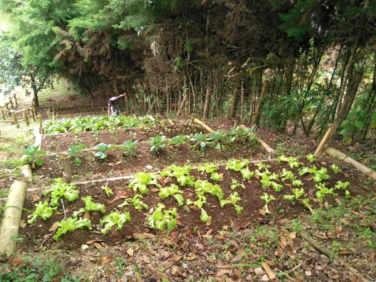 Hotel Mirador De Boquia サレント エクステリア 写真